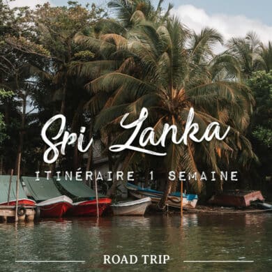 Sri Lanka en 1 semaine que faire