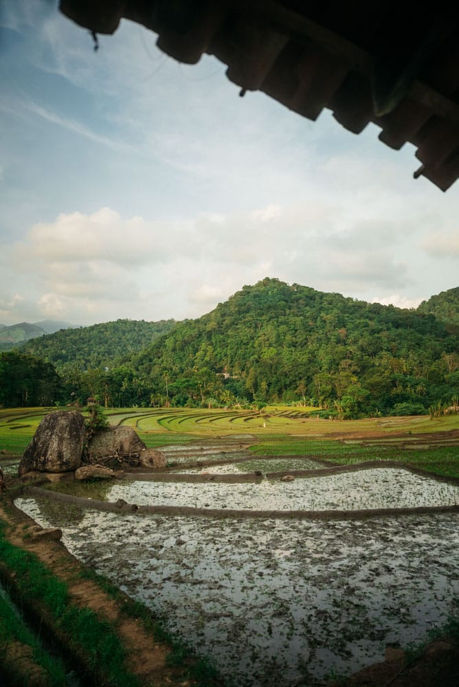 trek rizières Sri Lanka