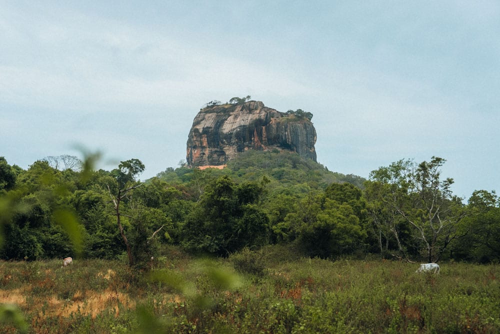 visiter le Rocher du Lion au Sri Lanka
