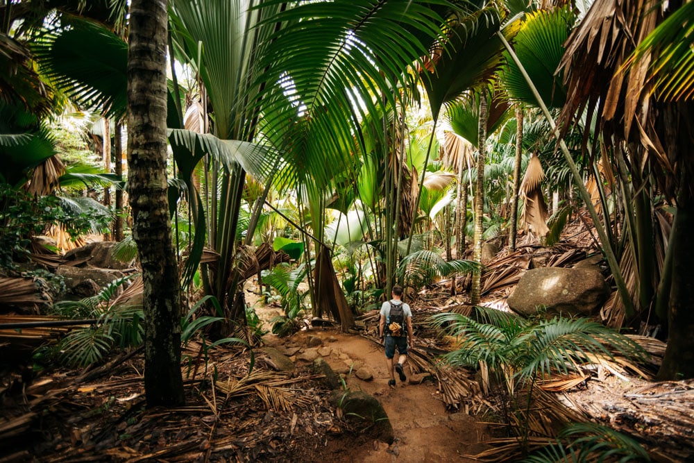 visiter vallée de Mai Praslin