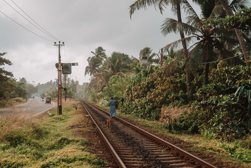 voyage insolite au Sri Lanka