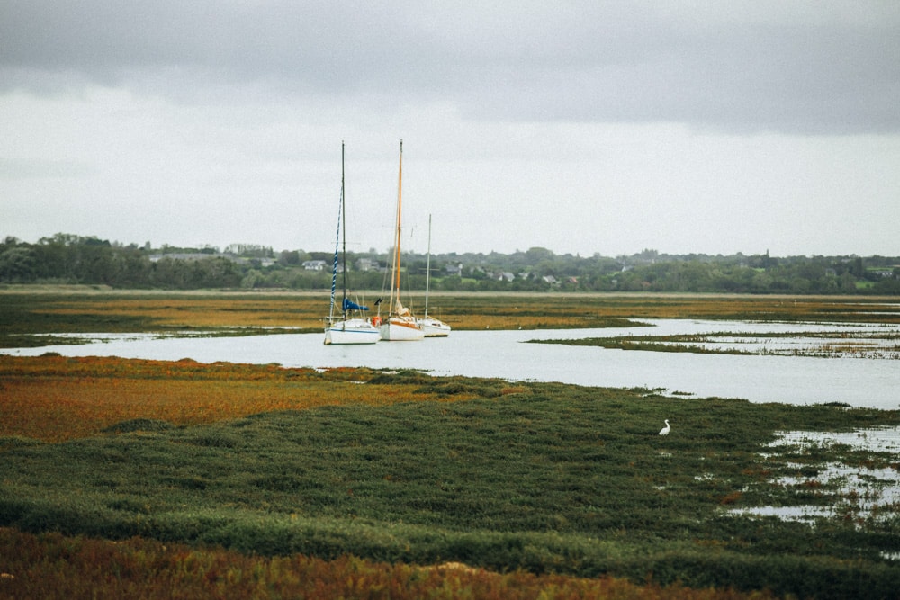 havre de Sienne La Manche