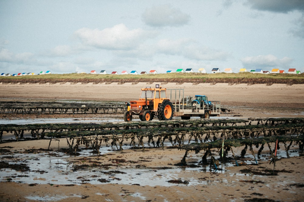 que faire à Gouville-sur-mer