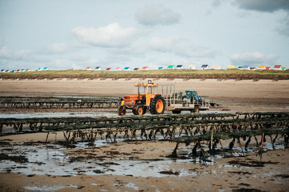 que faire à Gouville-sur-mer