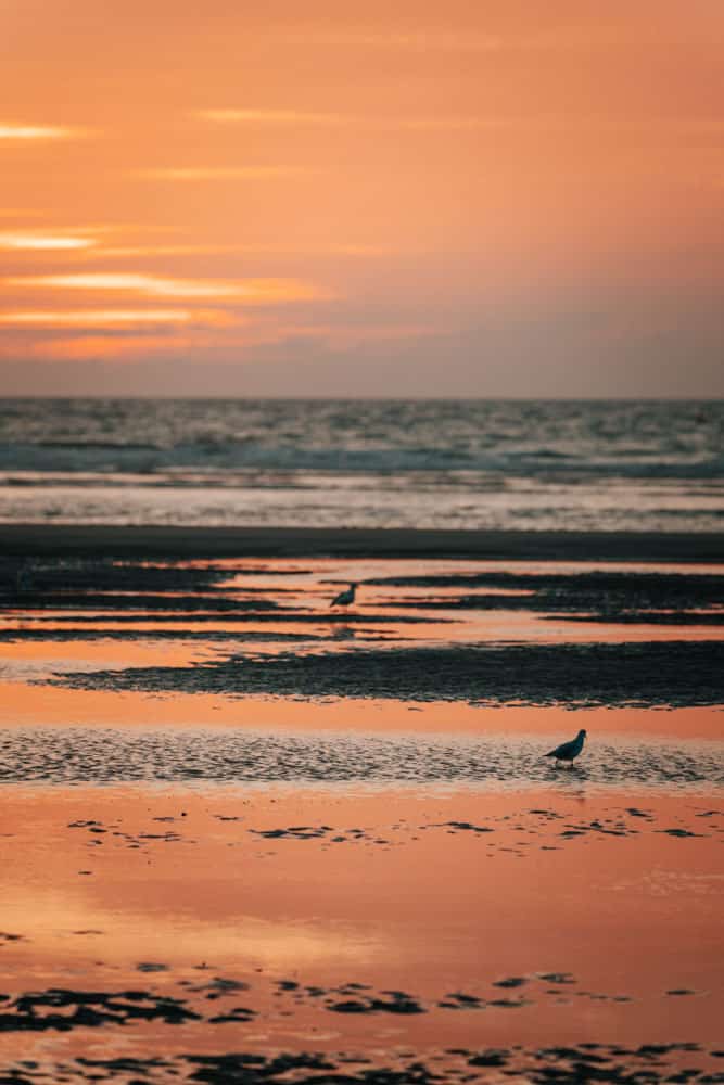 jolie plage de baie de Somme