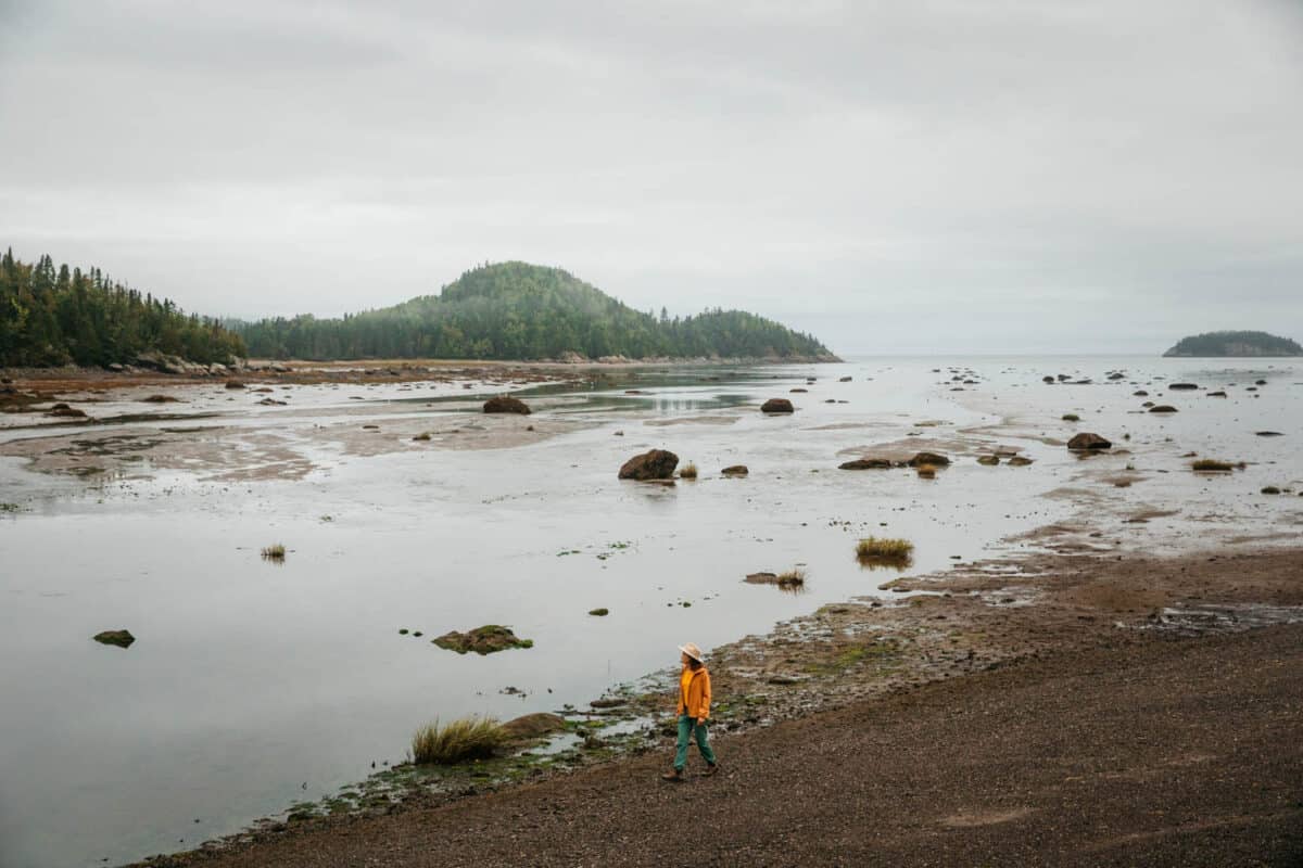 marée basse parc du Bic