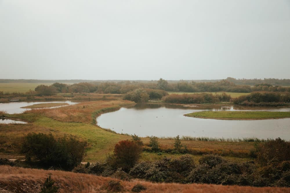 parc du Marquenterre