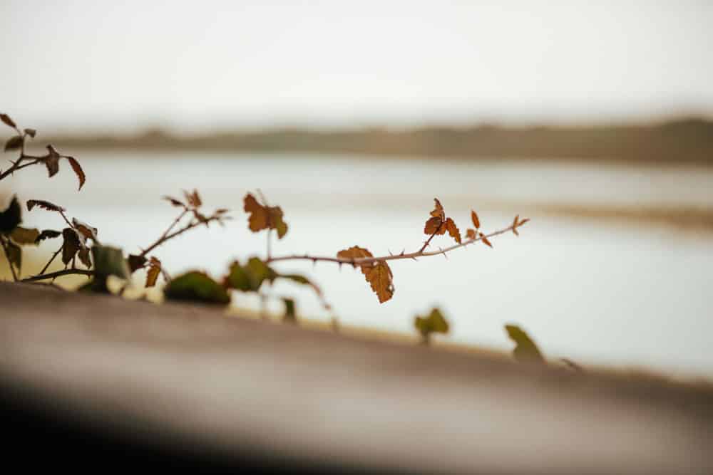 que faire Baie de Somme automne