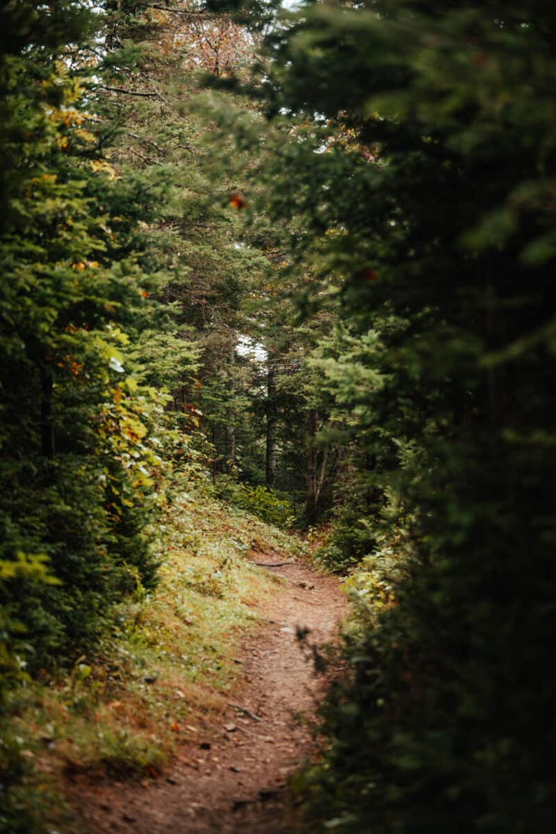 Québec Gaspésie randonnées