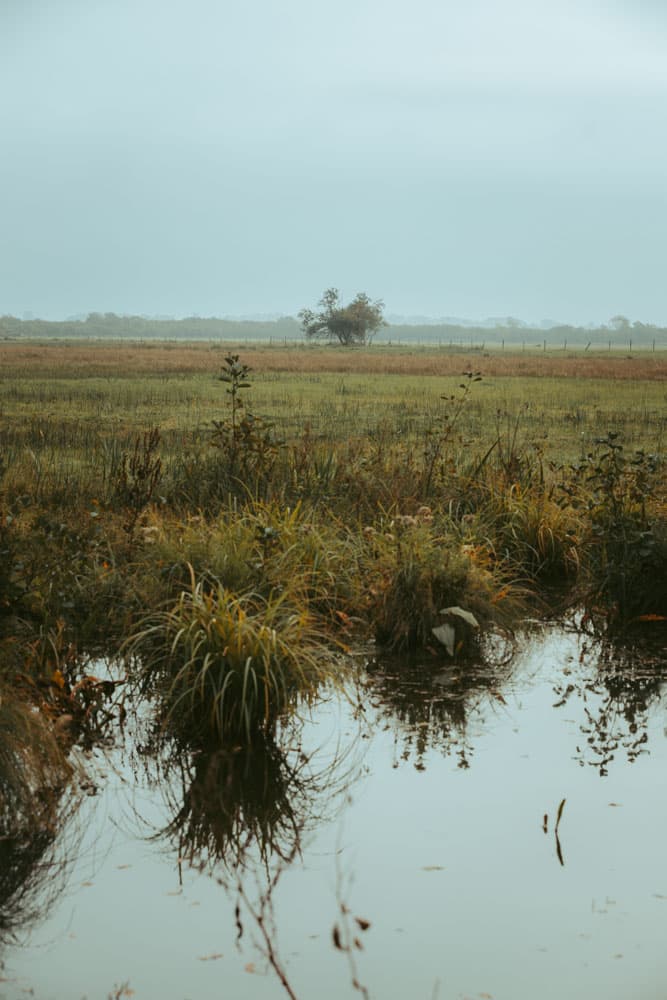 randonnée marais vallée de Somme