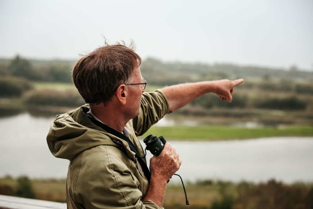 visite guidée Baie de Somme