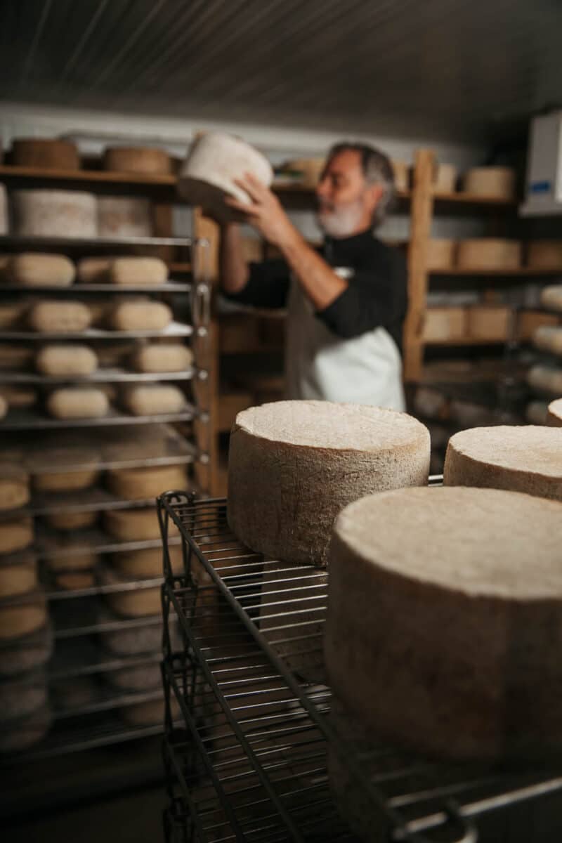 dégustation de fromage Catalogne plaines de Vic