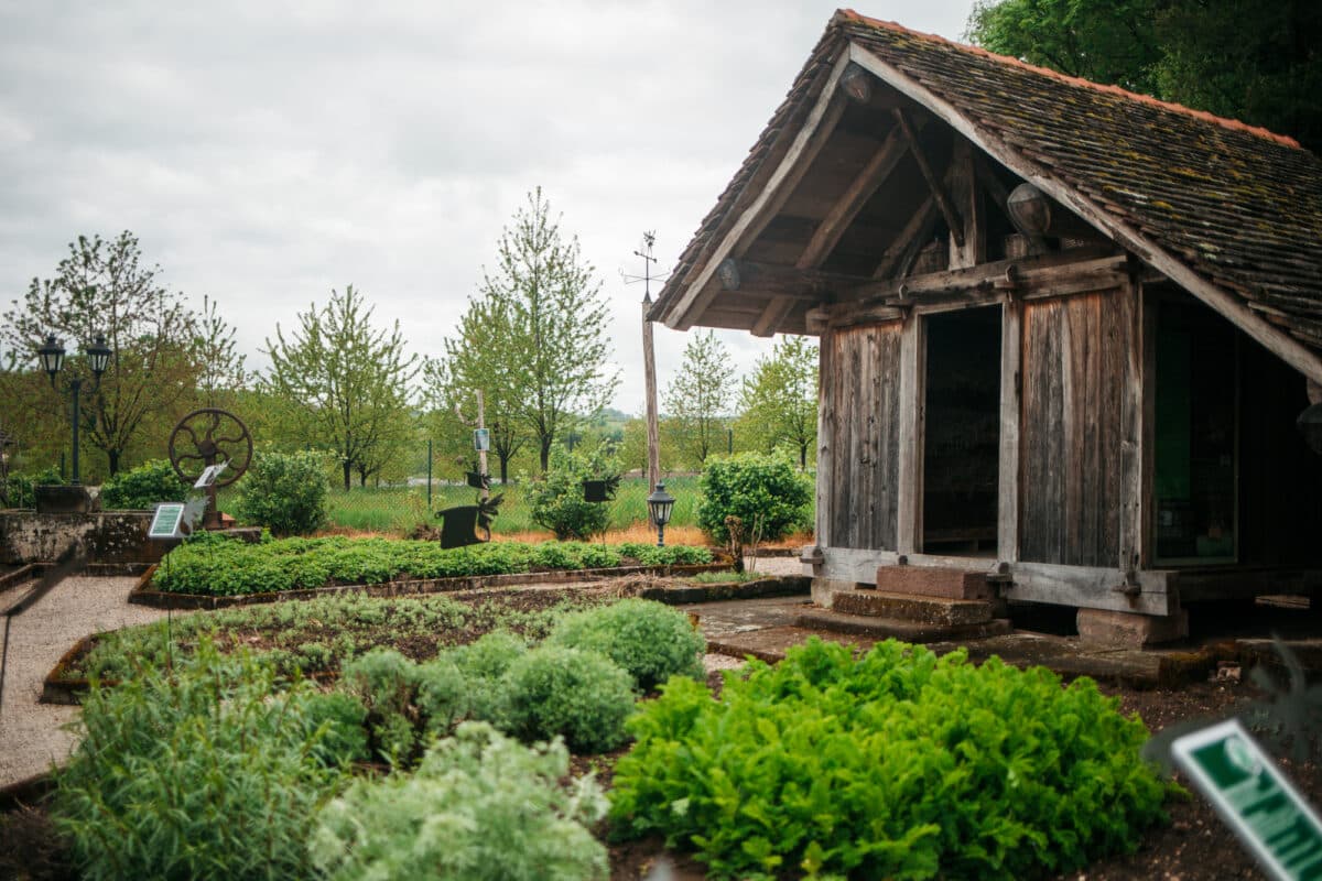 jardin de la fée verte Fougerolles