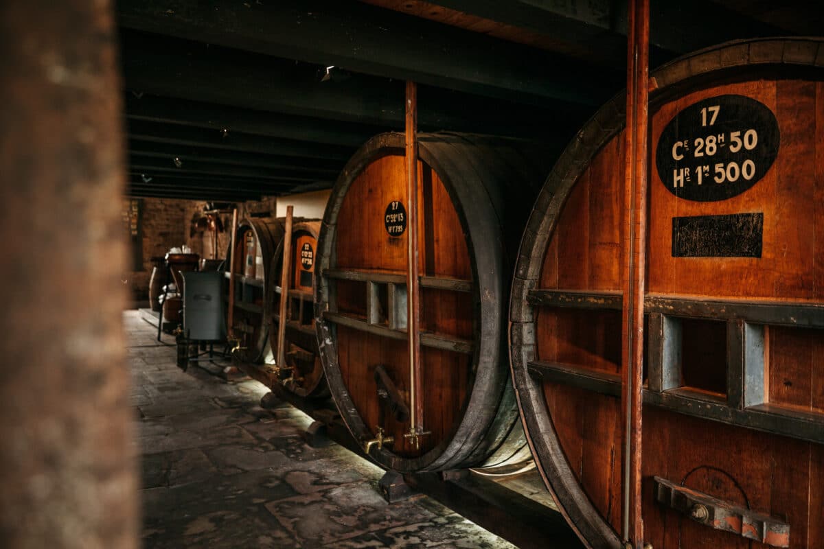 musée original et immersif en France