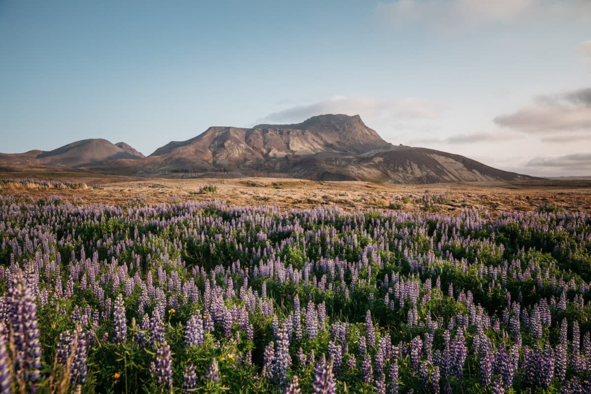 comment conduire sur les pistes en Islande
