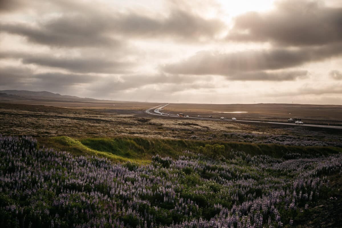 conseils pour conduire en Islande