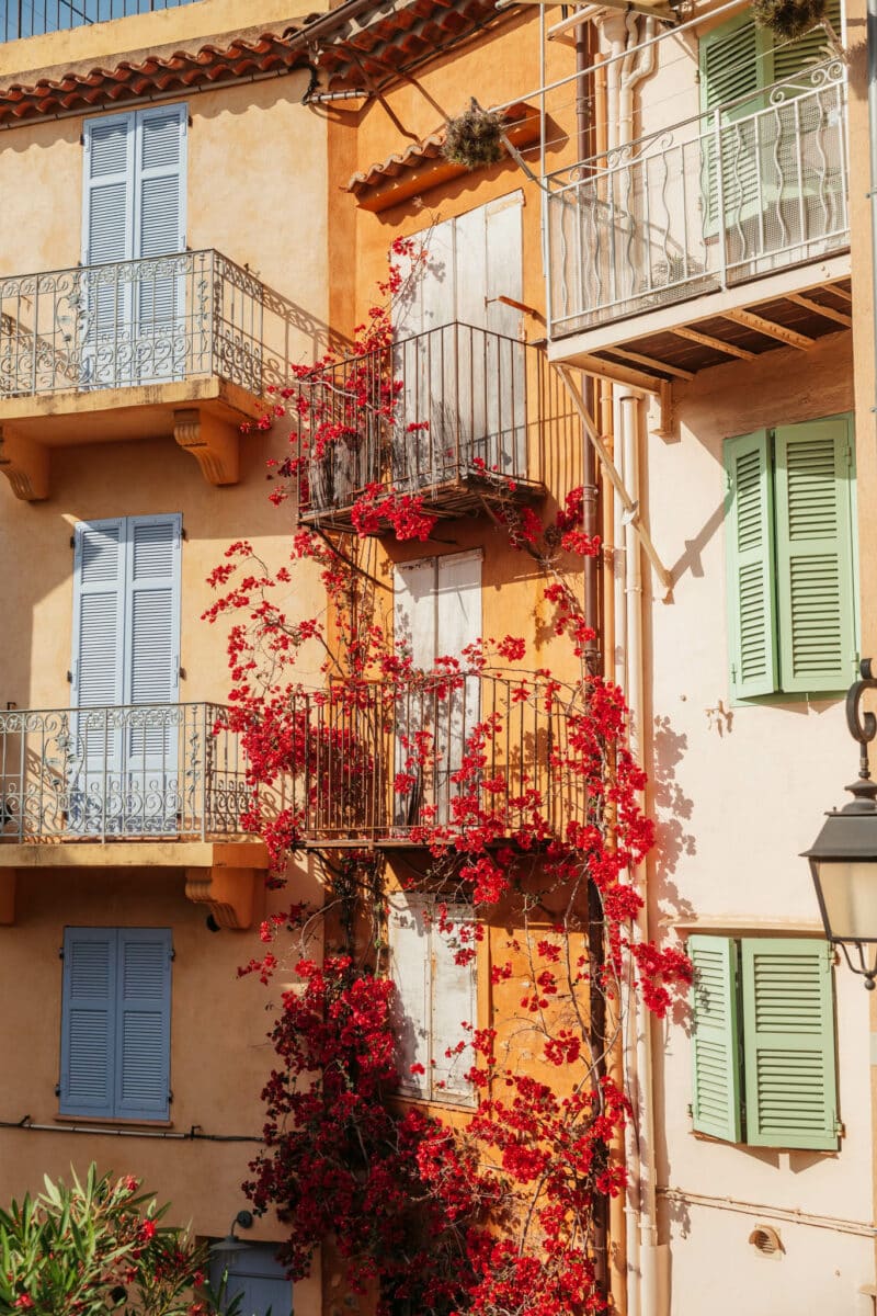 plus joli quartier de Cannes blog voyage
