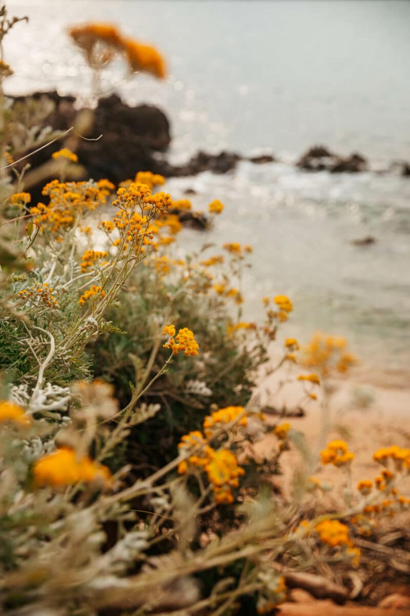 visiter Antibes blog voyage