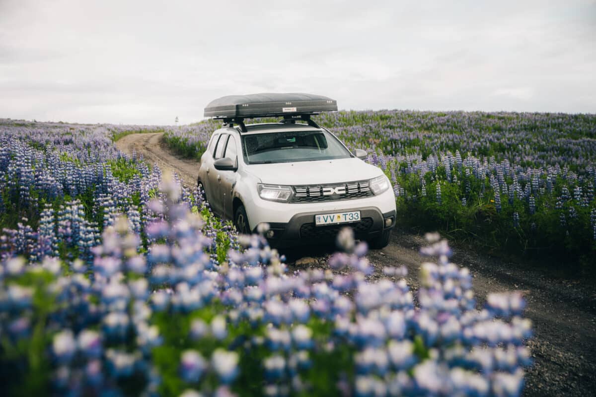 voyage organisé aventure en Islande