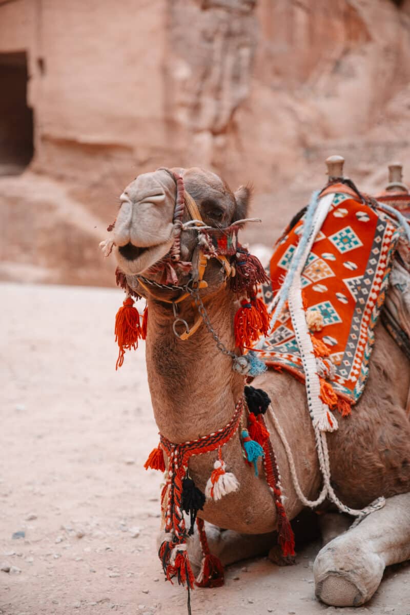 passage du Siq à Petra en Jordanie