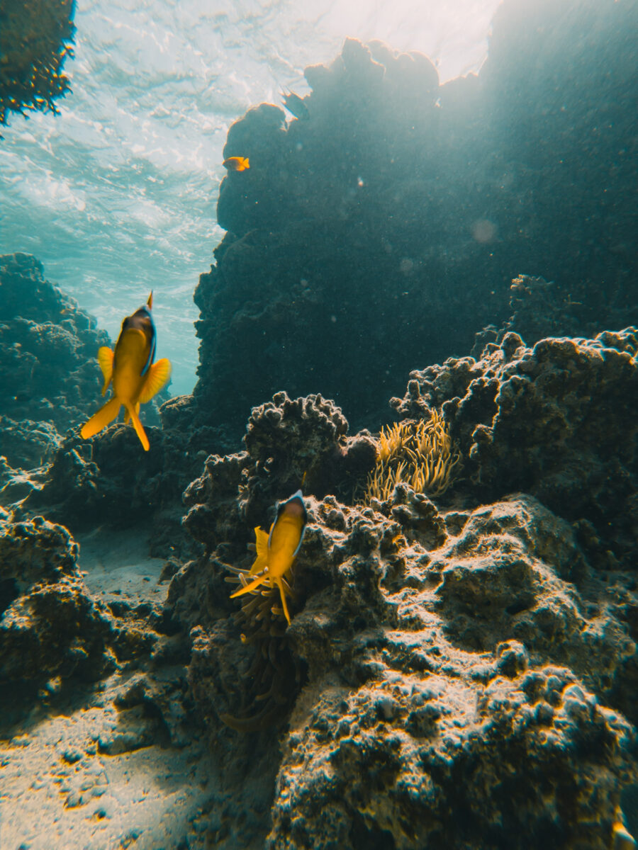 road trip Mer Rouge travelbase