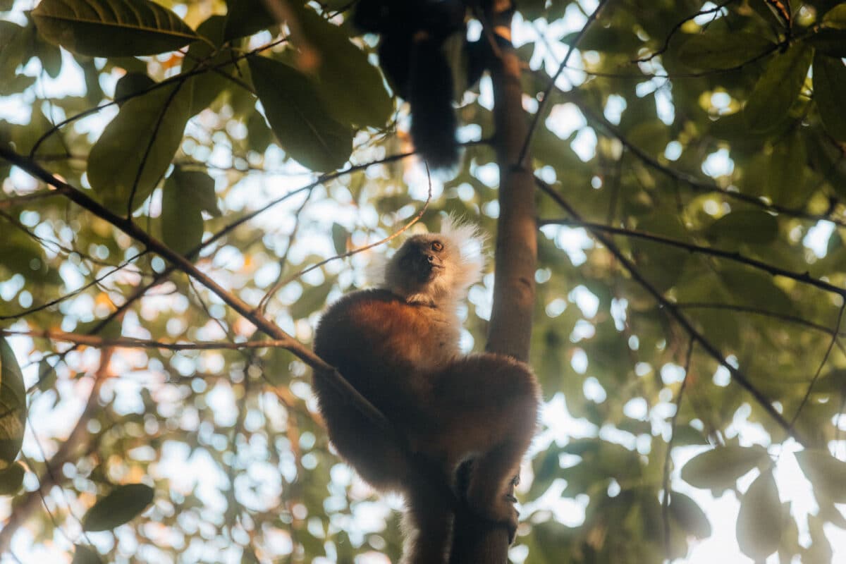 Activités Nosy Be nord Madagascar