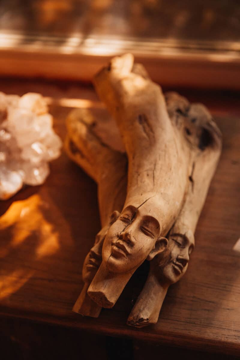 avis Iharana bush camp Madagascar