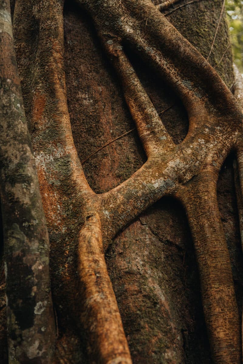 excursion montagne Ambre