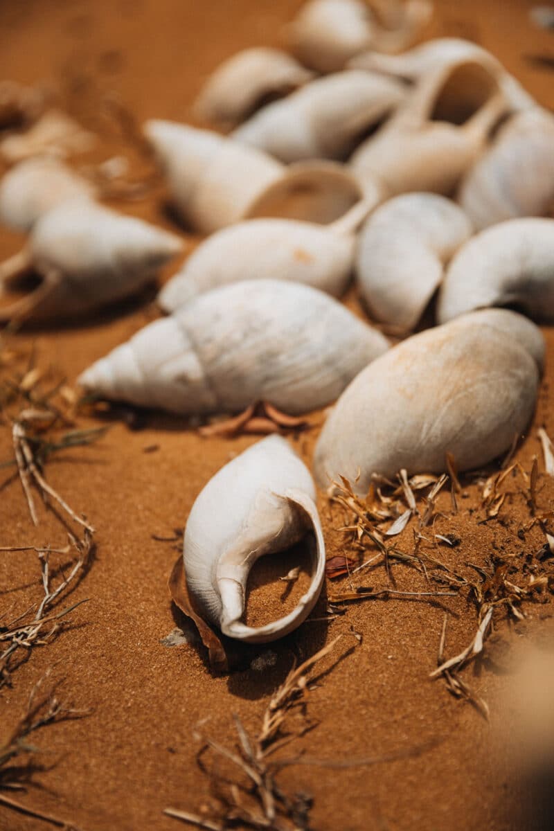 plages de Madagascar