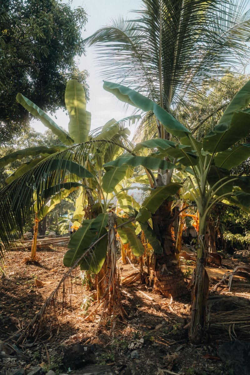 visiter Nosy Komba Madagascar