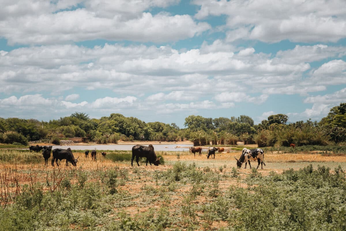 visiter plus beaux endroits nord Madagascar