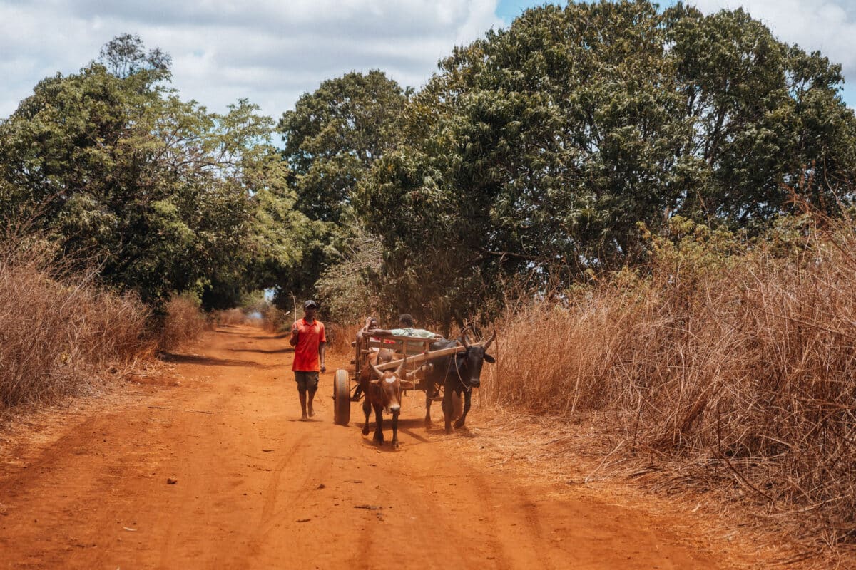 visiter tsingy rouges
