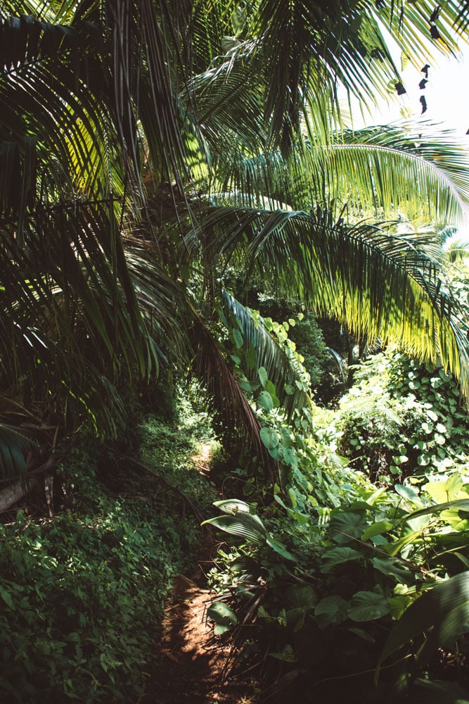 beaux hôtels des Seychelles