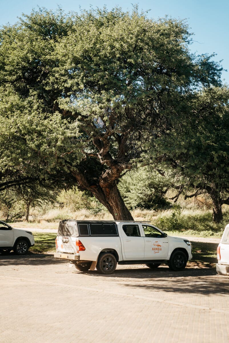 Pick-up Namibia Nomads garé près du campsite sous un grand arbre