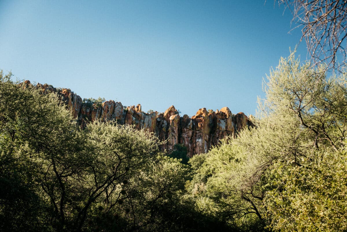 Végétation verte devant des formations rocheuses du Damaraland