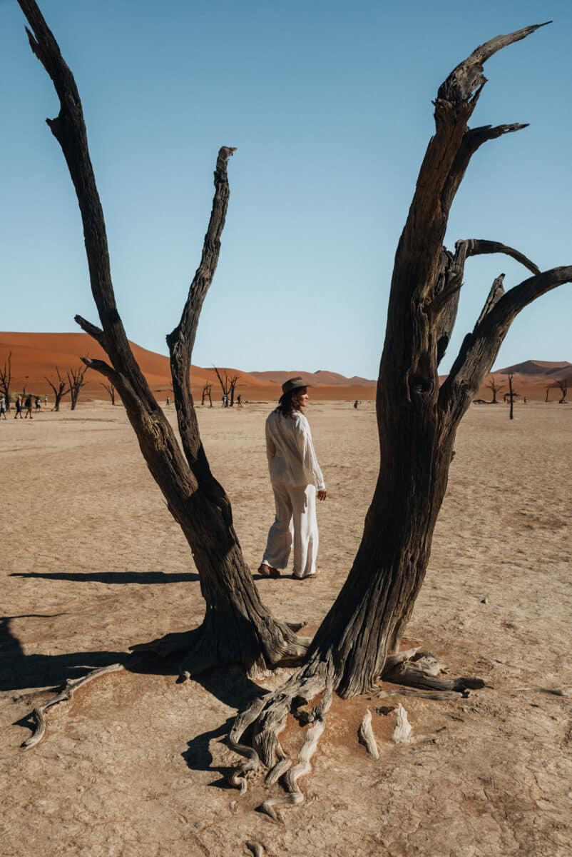 Arbres morts de Deadvlei face aux dunes rouges du désert du Namib en Namibie