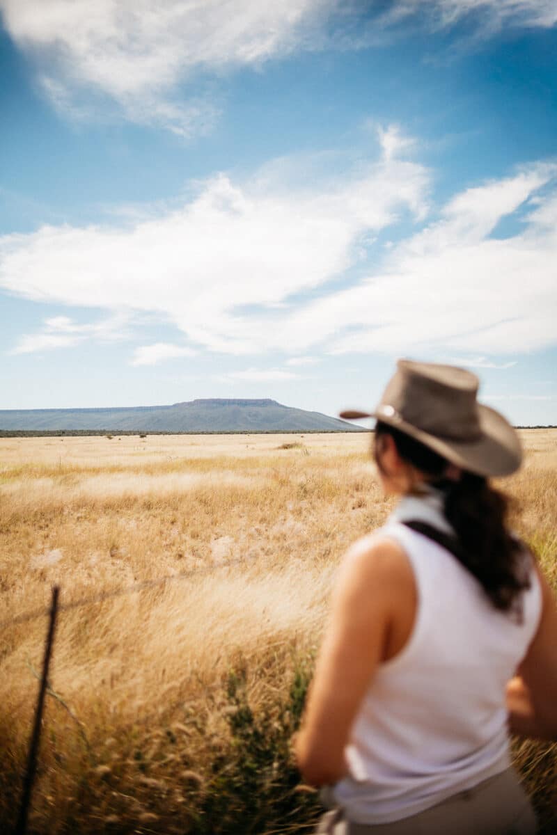 Femme de dos contemplant la savane namibienne lors d'un road trip