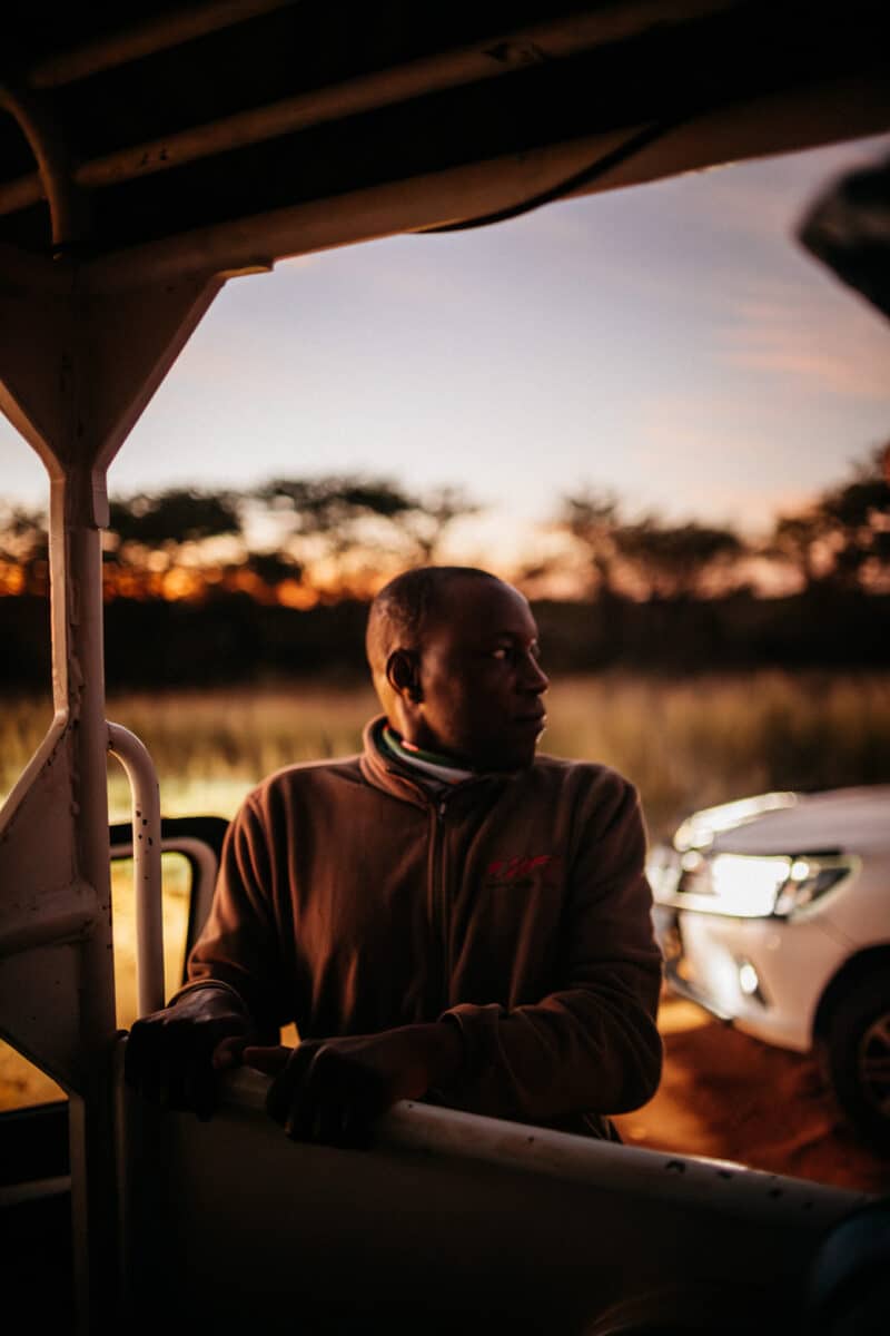 Guide local dans un véhicule de safari au lever du soleil à Waterberg