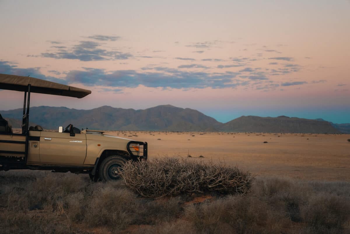Paysage de savane namibienne traversé lors d'un road trip en Namibie