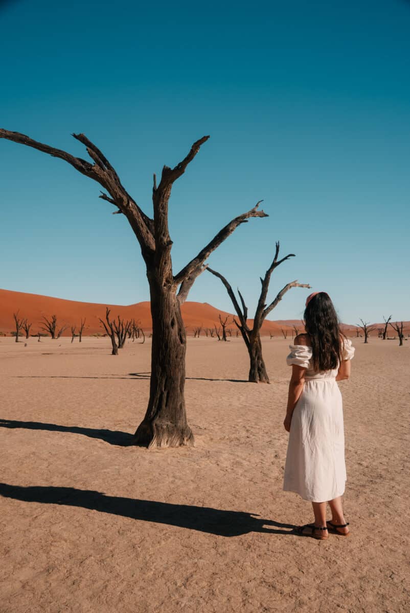 Femme parmi les arbres morts de Deadvlei face aux dunes rouges