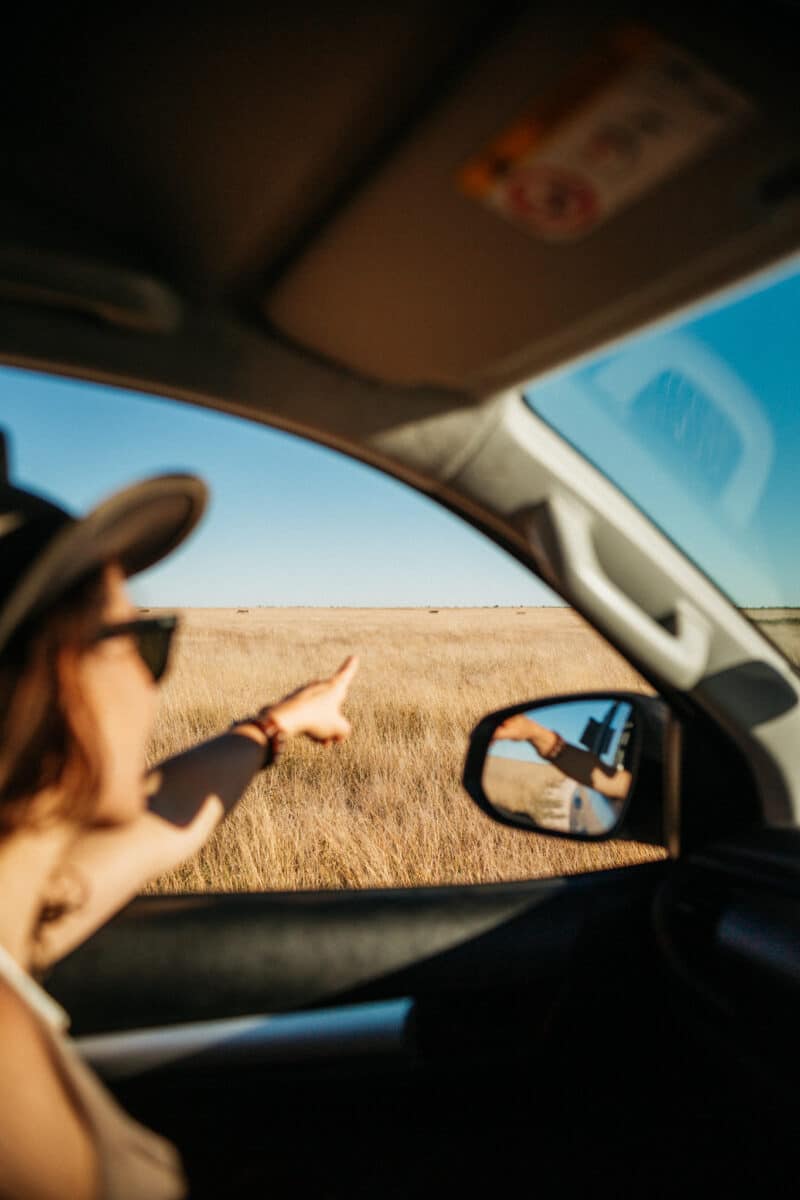 Au volant pendant le safari en 4x4 à Etosha