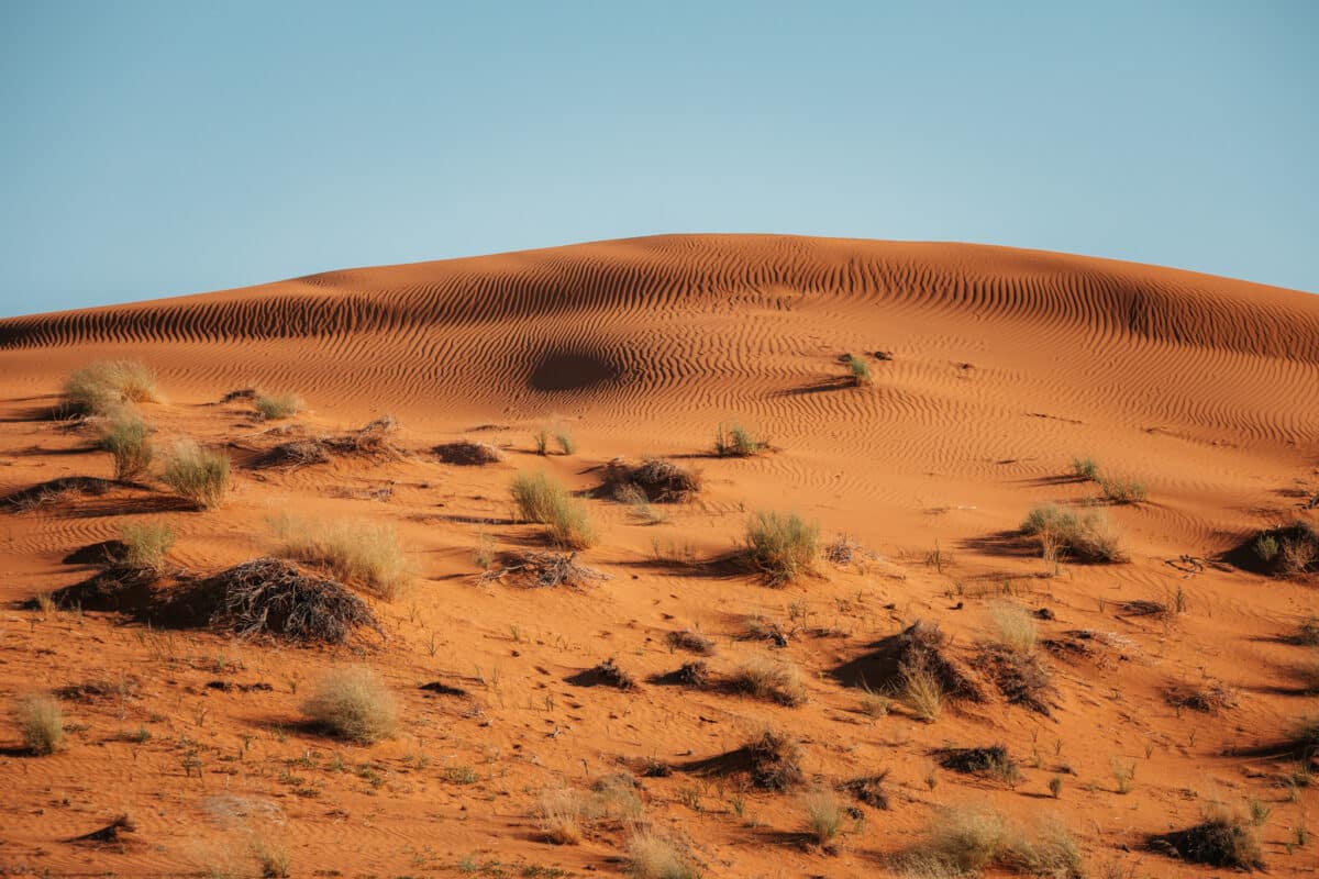 Dunes de sable en Namibie