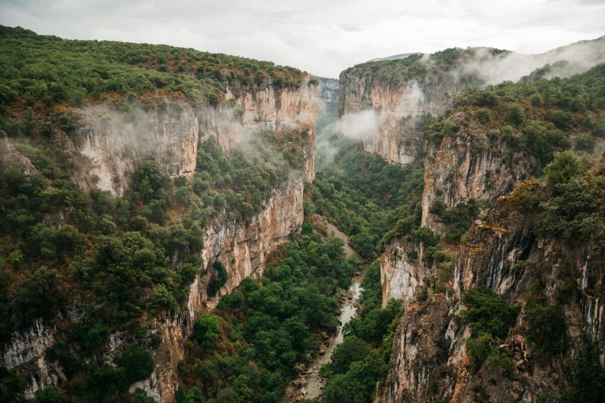 Vautours fauves survolant le canyon de la Foz de Arbayún en Navarre