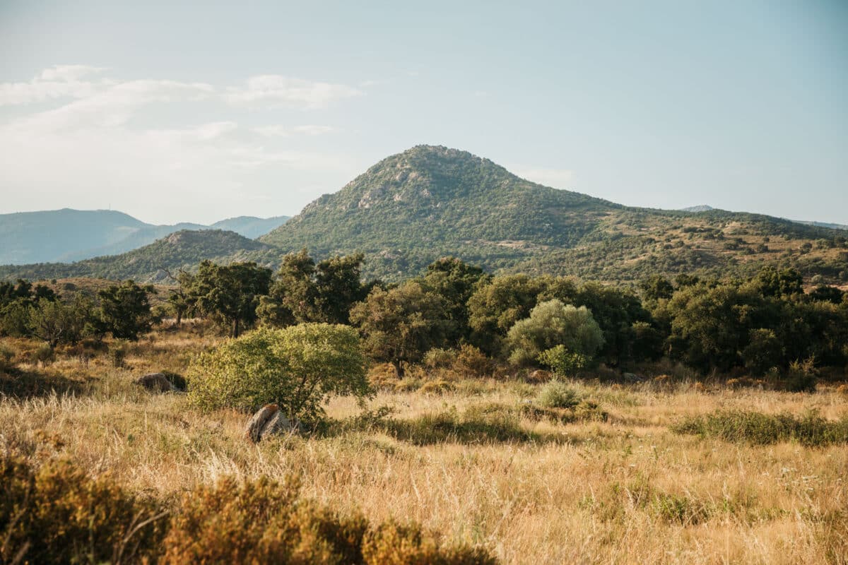 Vue panoramique depuis un col sur la plaine de l'Empordà et la Méditerranée derrière