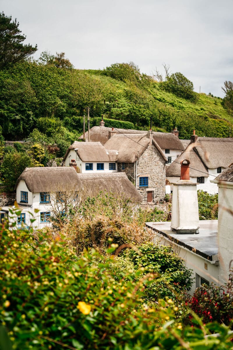 Maisons aux toits de chaume du village de pêcheurs de Cadgwith dans les Cornouailles