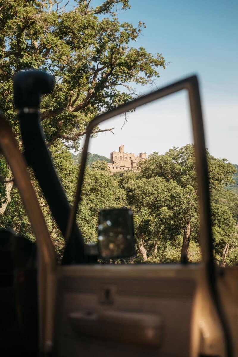 Château de Requesens émergeant de la forêt de l'Albera, vu depuis la piste d'accès