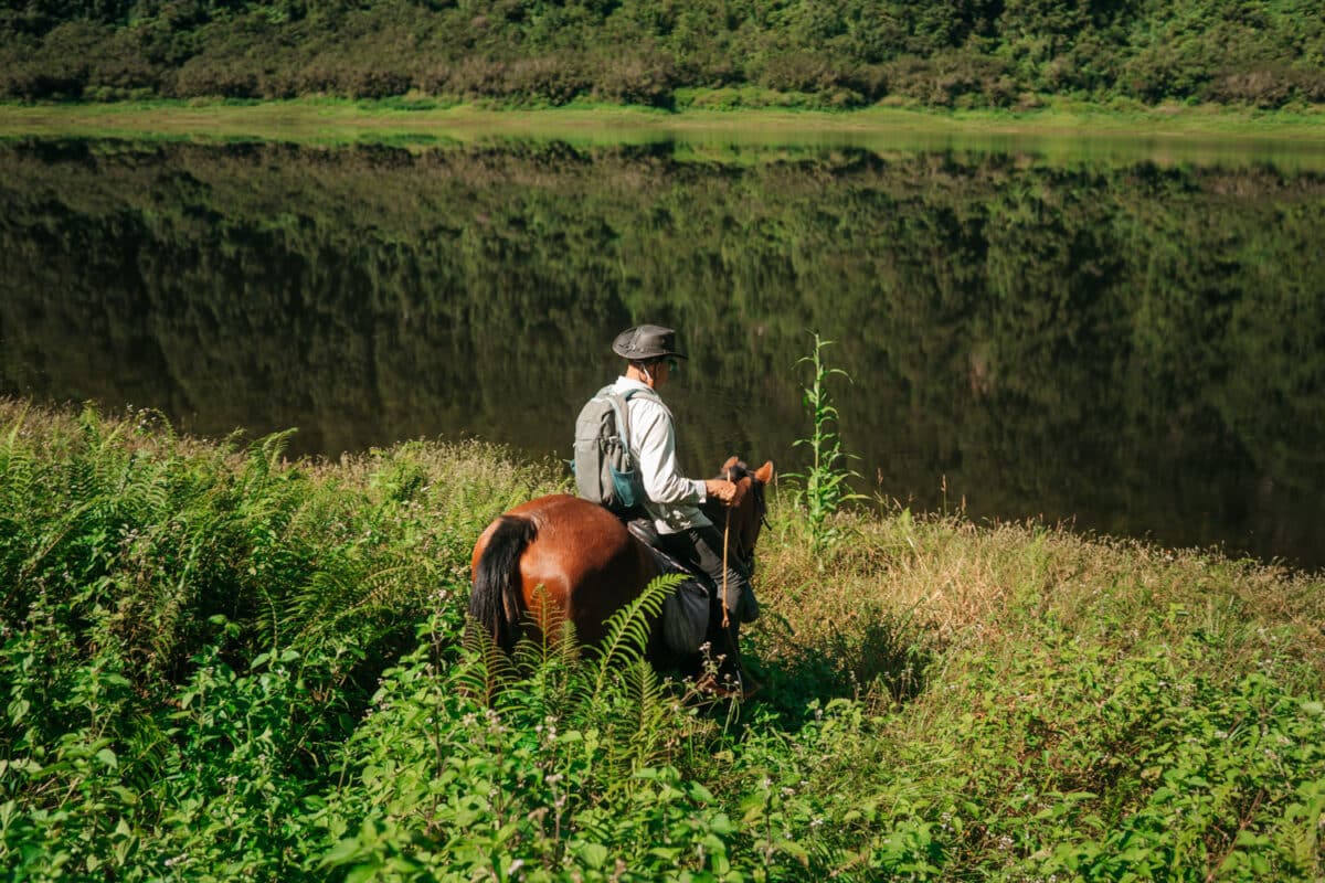 Chevaux au bord du lac du Grand-Étang, entouré de remparts verdoyants, au-dessus de Saint-Benoît