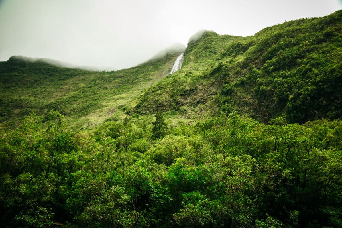 Végétation tropicale luxuriante couvrant les reliefs de La Réunion